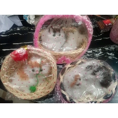 玩具猫(三个合拍)(au22399363)_7788收藏__收藏热线