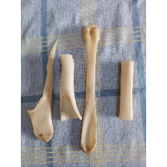 骨头四支(au22401405)_7788收藏__收藏热线