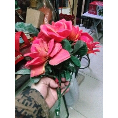 怀旧塑料花(au22402295)_7788收藏__收藏热线