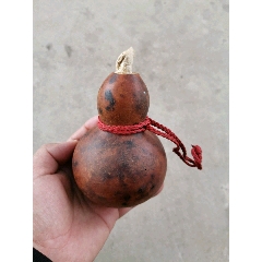 葫芦(au22403552)_7788收藏__收藏热线