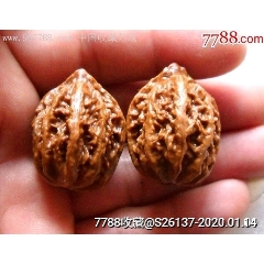 少见美品野生小楸子一对(zc22407281)_7788收藏__收藏热线