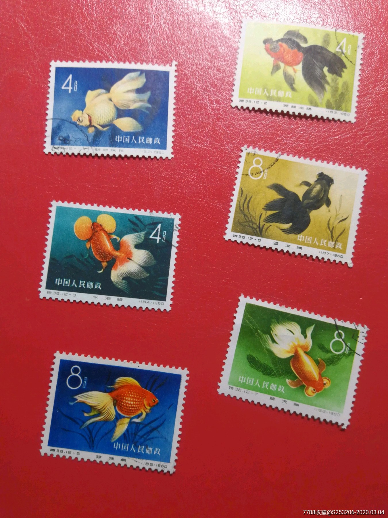 10元起拍海外回流特38金鱼一组旧6枚-新中国邮票-7788收藏__收藏热线