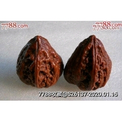 很少见老山核桃一对(zc22414948)_7788收藏__收藏热线