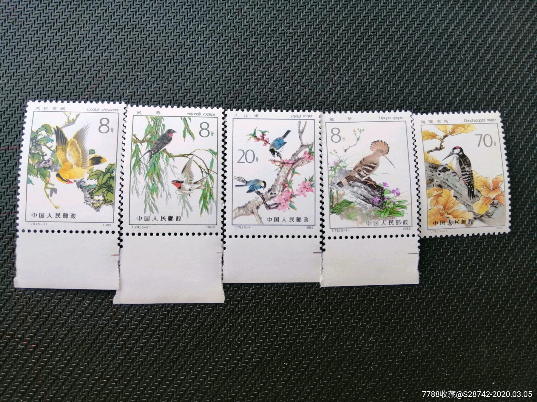 首页 拍卖 新中国邮票 >> t79益鸟新票一套,新中国邮票【收藏寻乐】