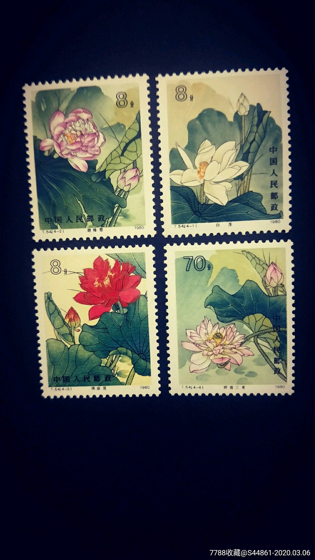 t54荷花新票一套-新中国邮票-7788收藏__收藏热线