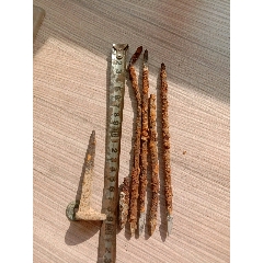 青铜箭头四枚加铁棺钉一枚(au22436023)_7788收藏__收藏热线