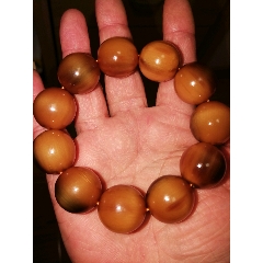 山龟串(zc22436865)_7788收藏__收藏热线