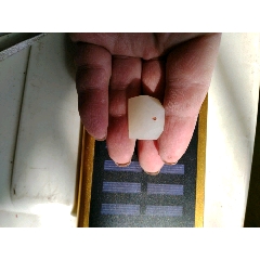 印章胚子(au22437845)_7788收藏__收藏热线