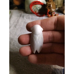 无托拍卖保a货翡翠大蝉挂件(au22437961)_7788收藏__收藏热线