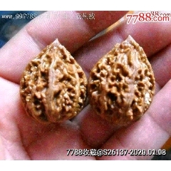 很少见老山核桃一对(zc22439659)_7788收藏__收藏热线