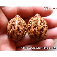 少见美品野生小楸子一对(zc22448577)_7788收藏__收藏热线