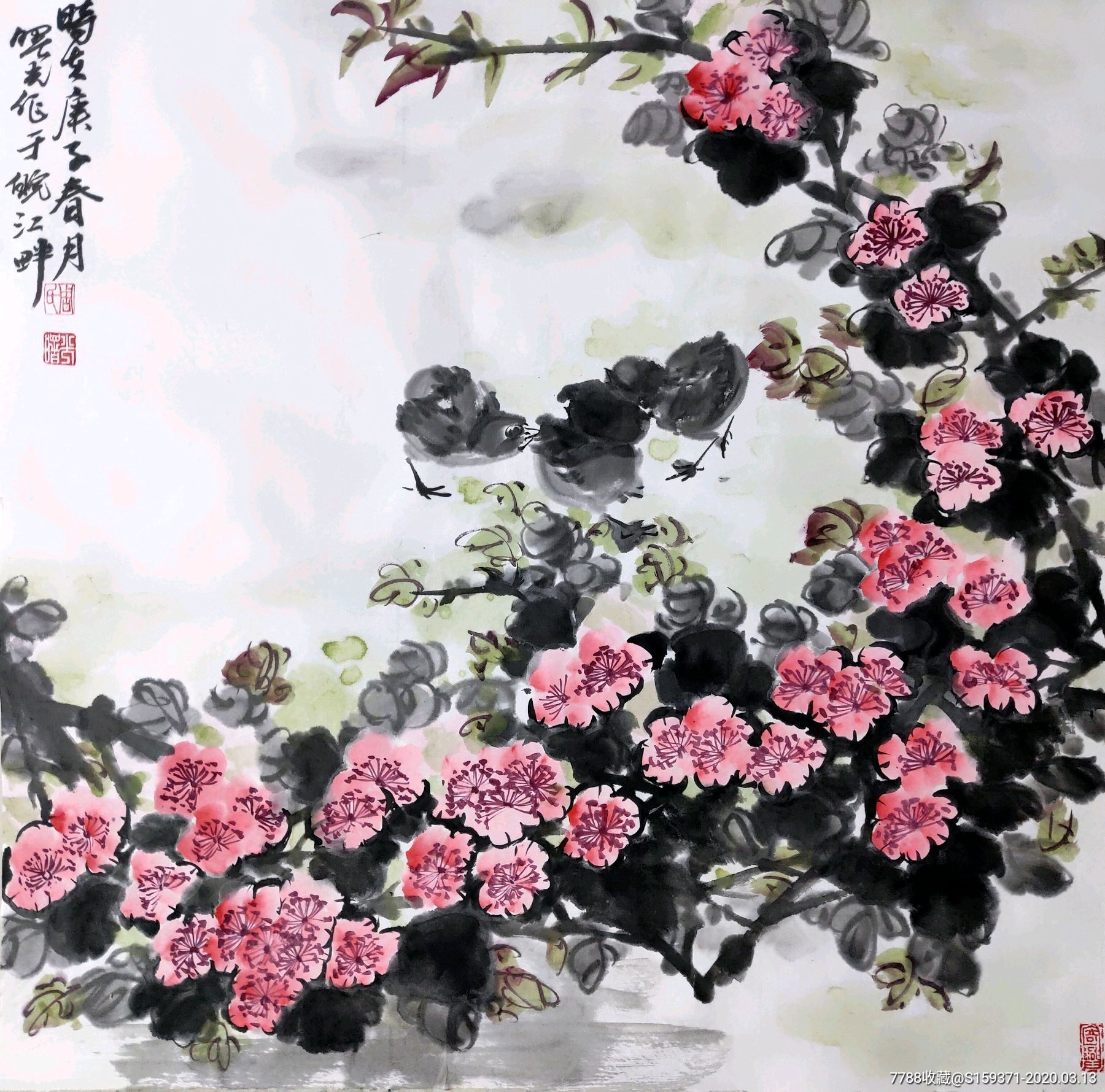 四尺斗方国画牡丹