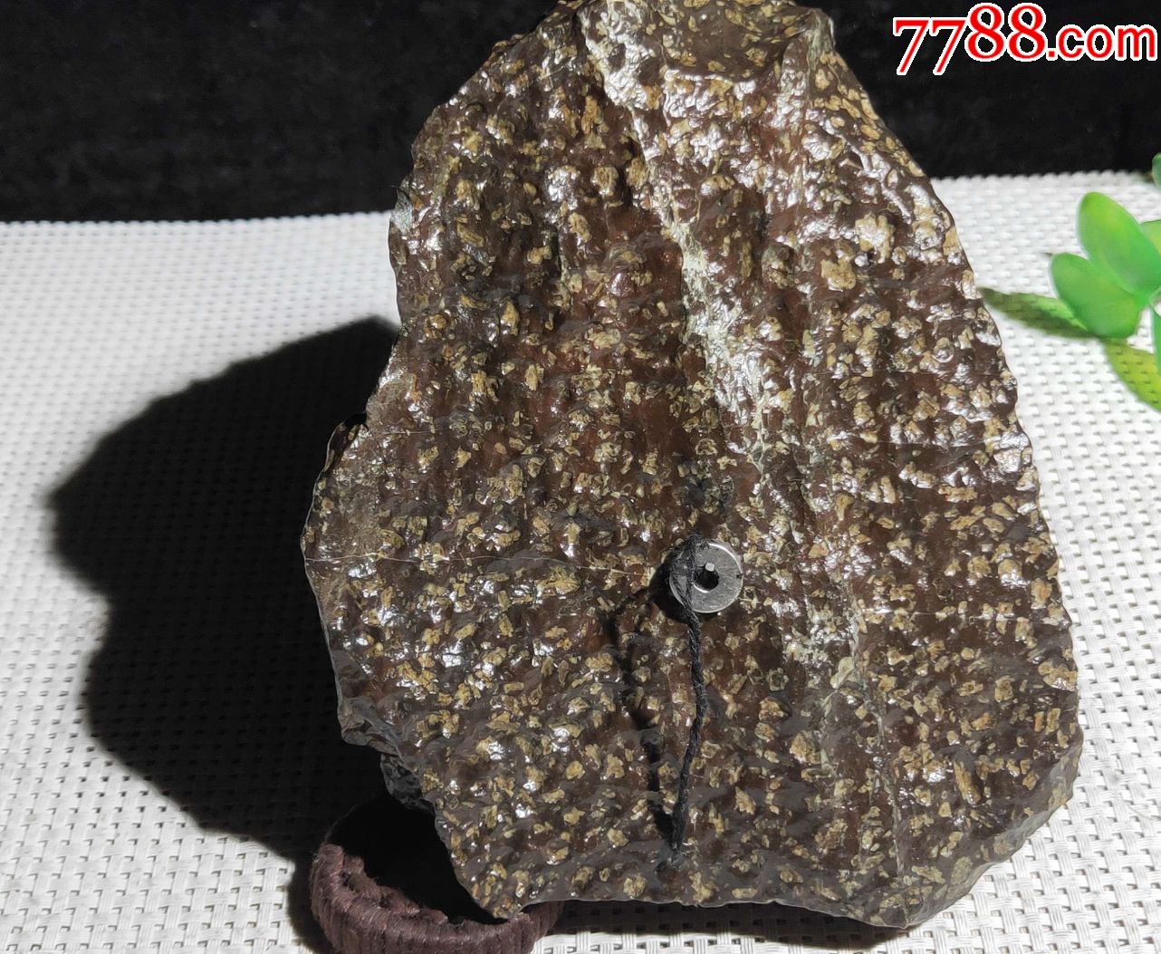 3674新疆罗布泊甘沟橄榄陨石陨铁4.56斤