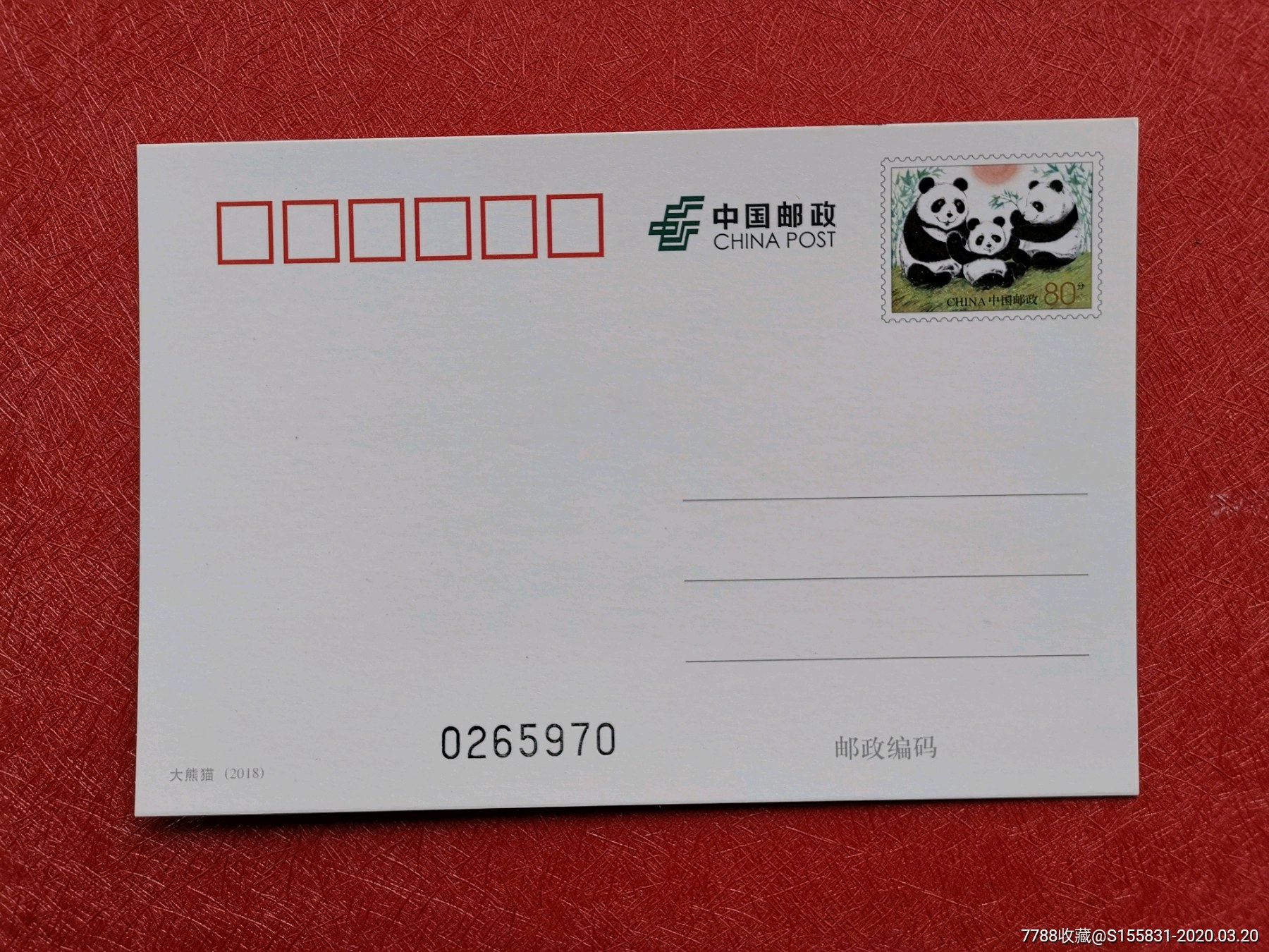 pp《大熊猫》普白片一全