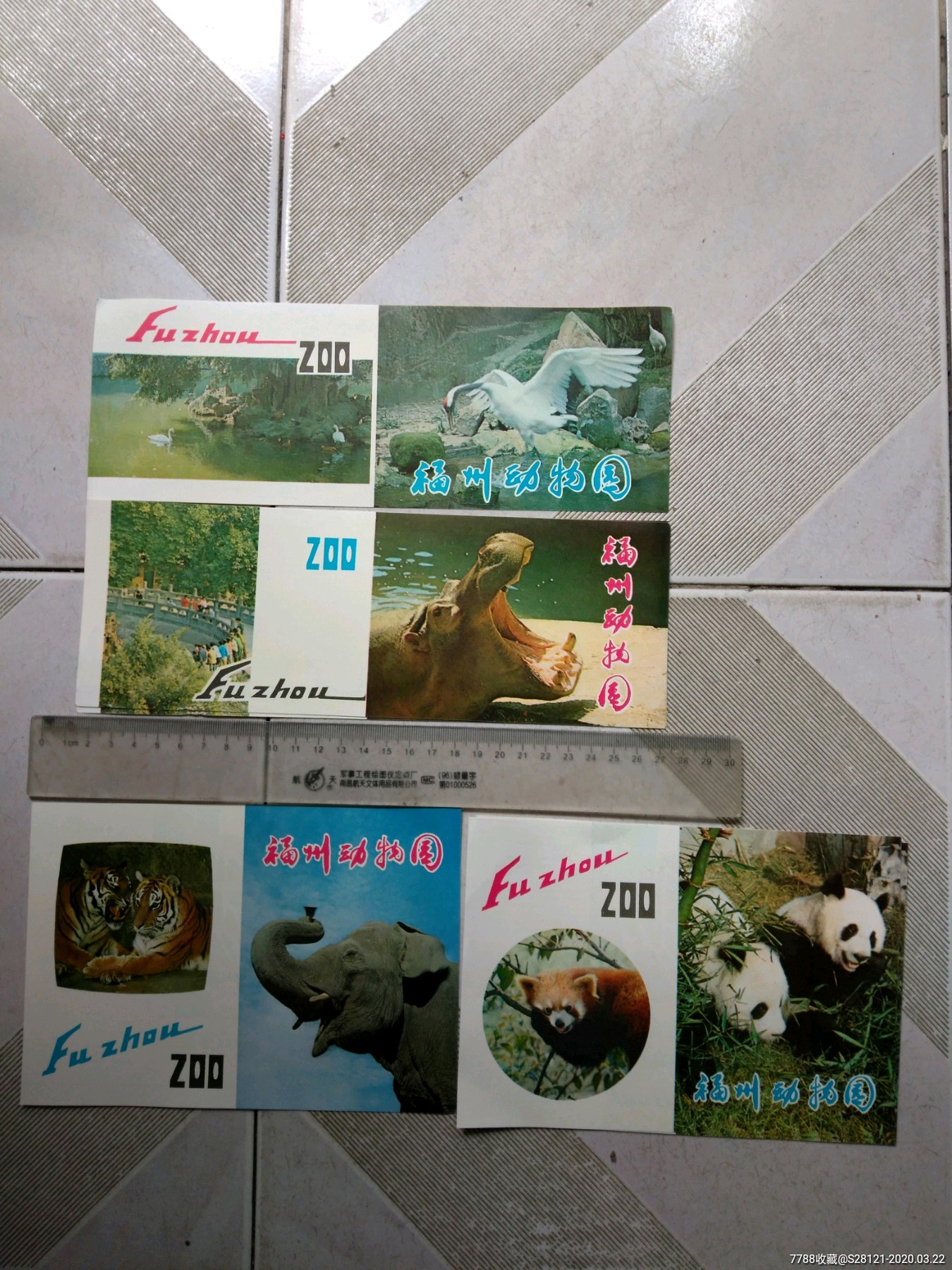 早期福州动物园导游图4种不同合售