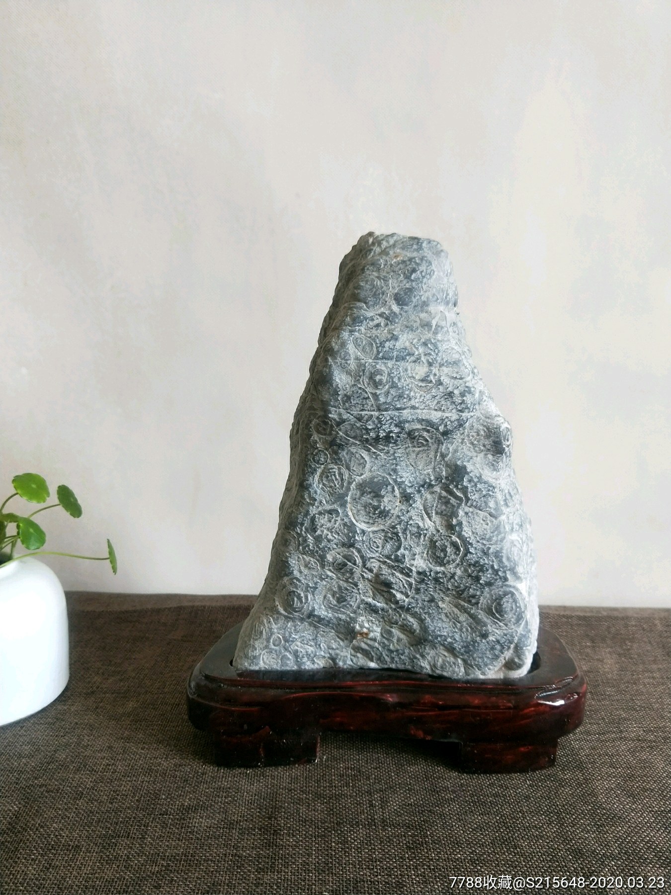 金钱石【一帆风顺】