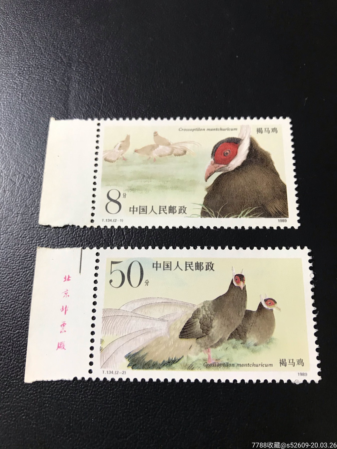 邮票全品1989t134褐马鸡特种收藏邮票套票