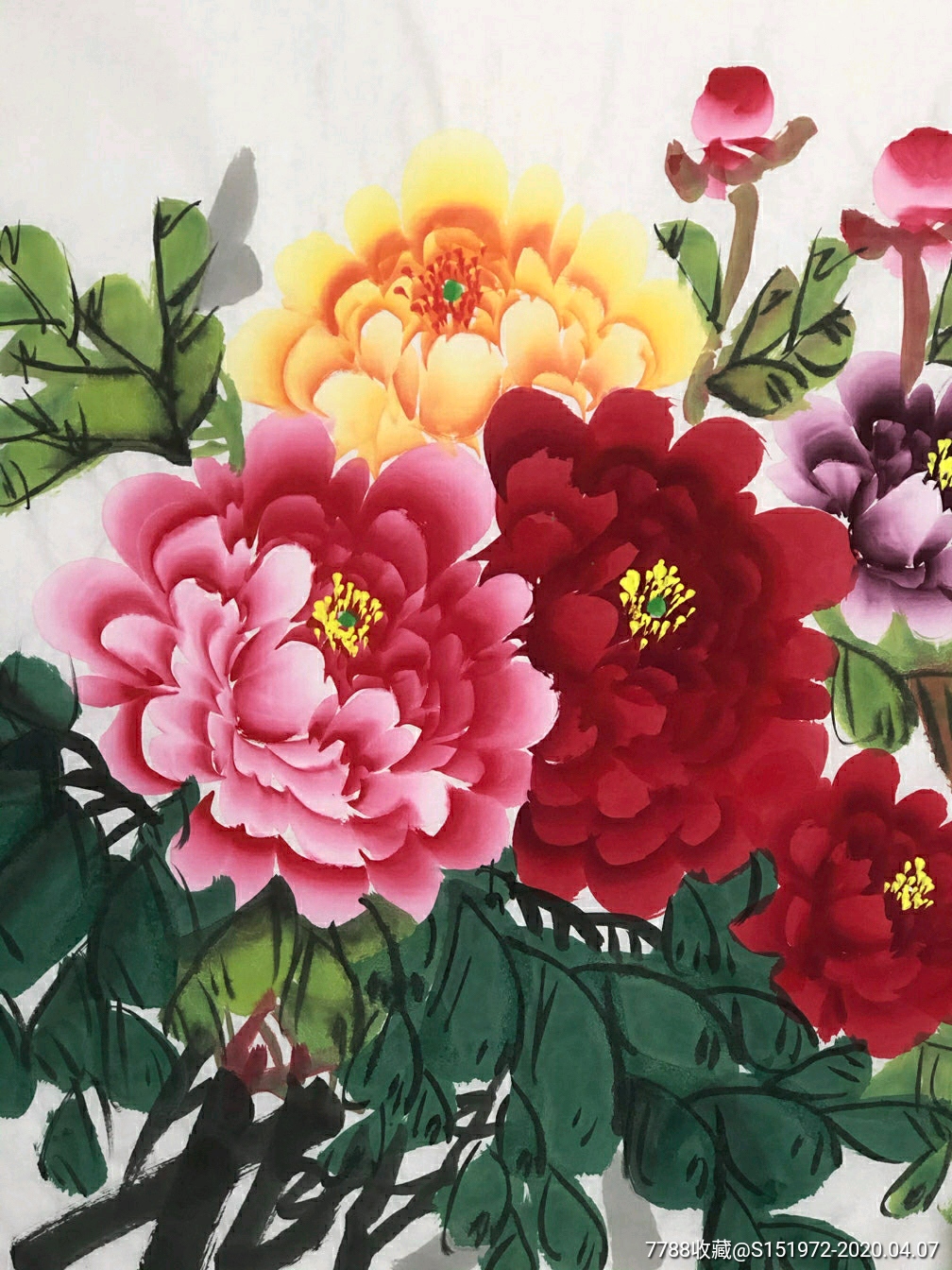 高庆芳富贵开花