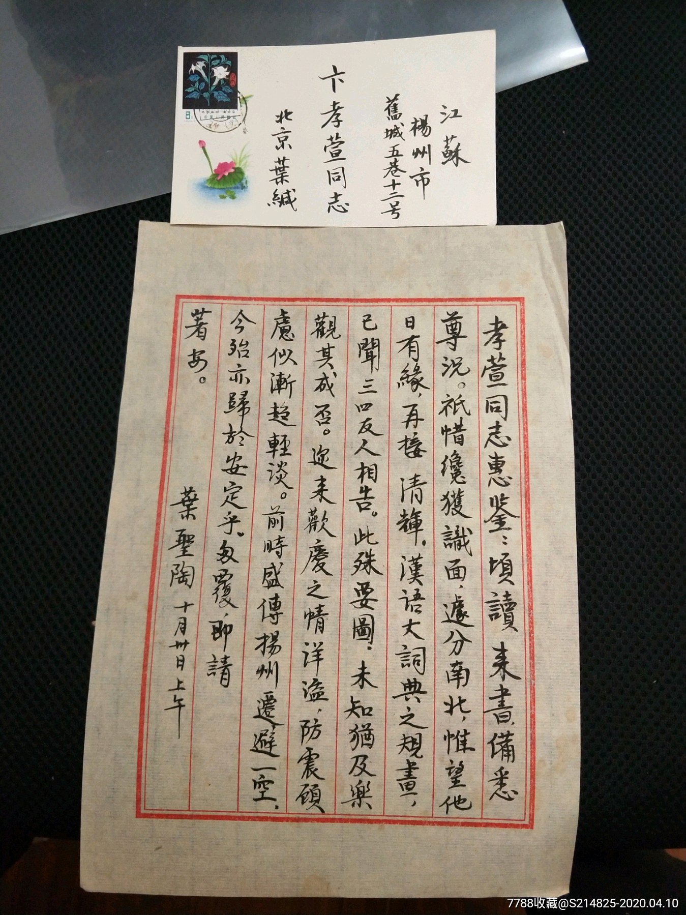 1349_1799竖版 竖屏