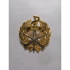 14仪仗队队徽(au22748020)