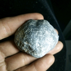 商品名称:2亿年前三叠纪时期扇贝化石