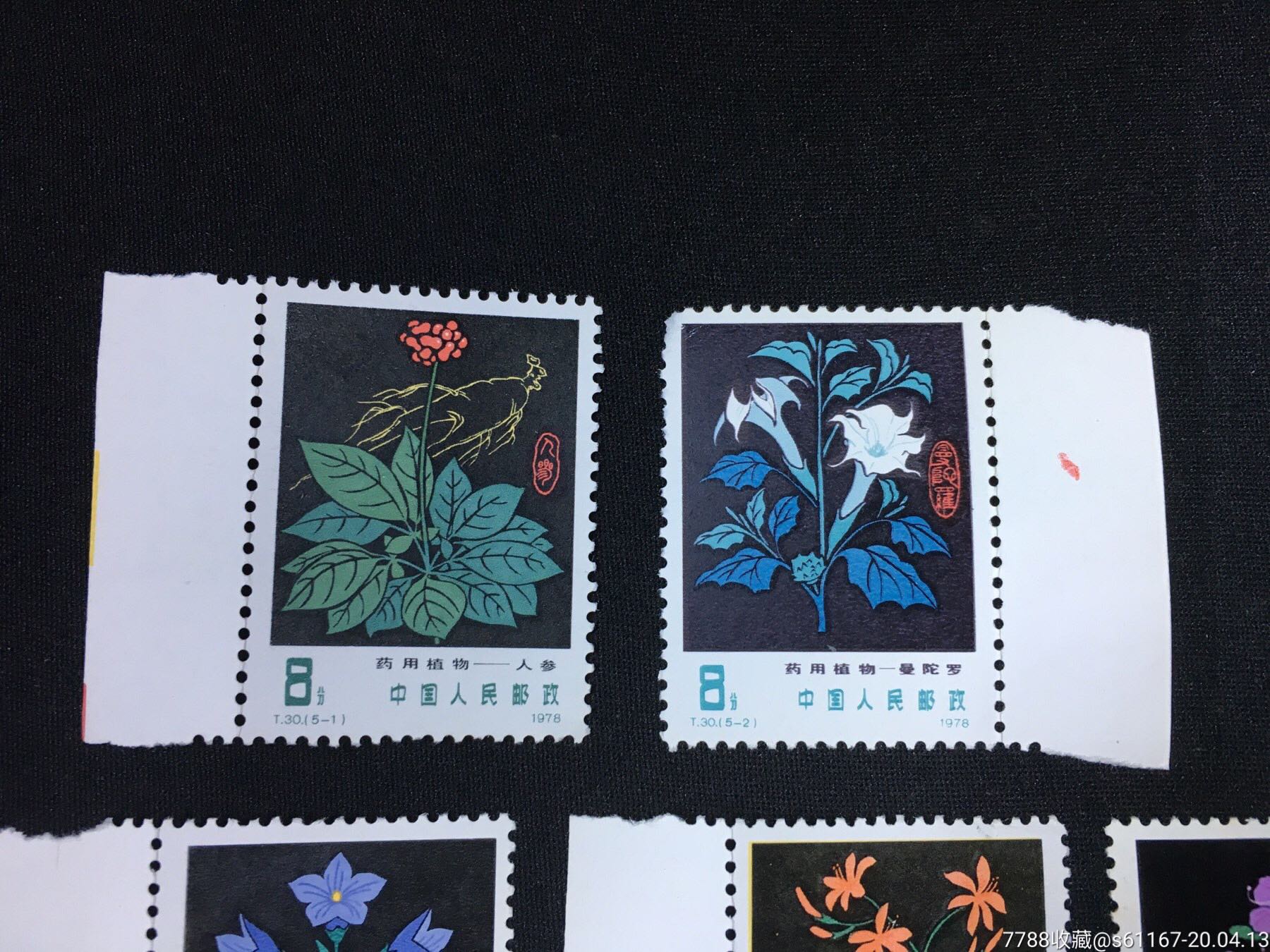 原胶t30药植新全一套,新中国邮票_第2张