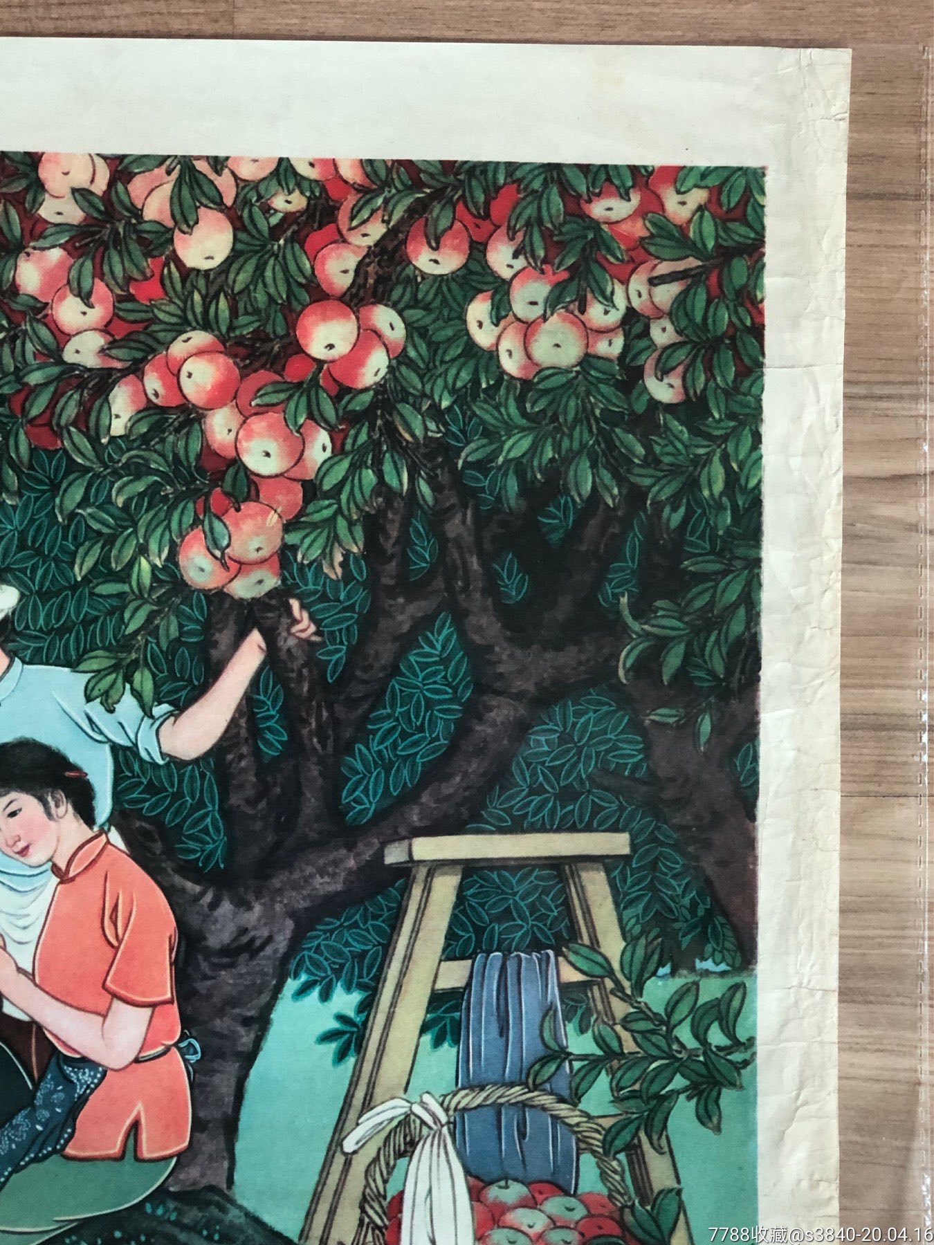 苹果树下喜丰收(孤品级别)