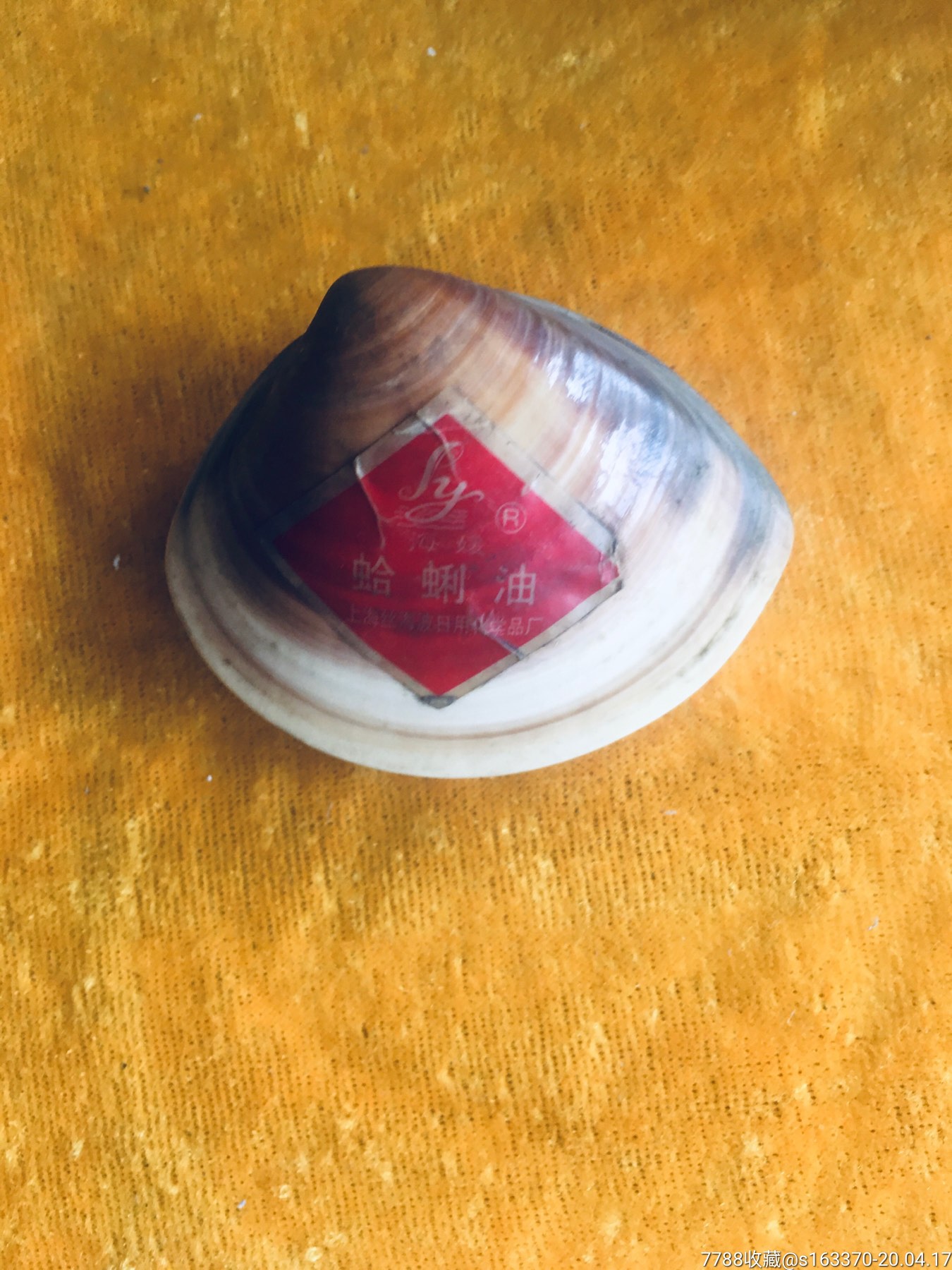 八十年代蛤蜊油贝壳