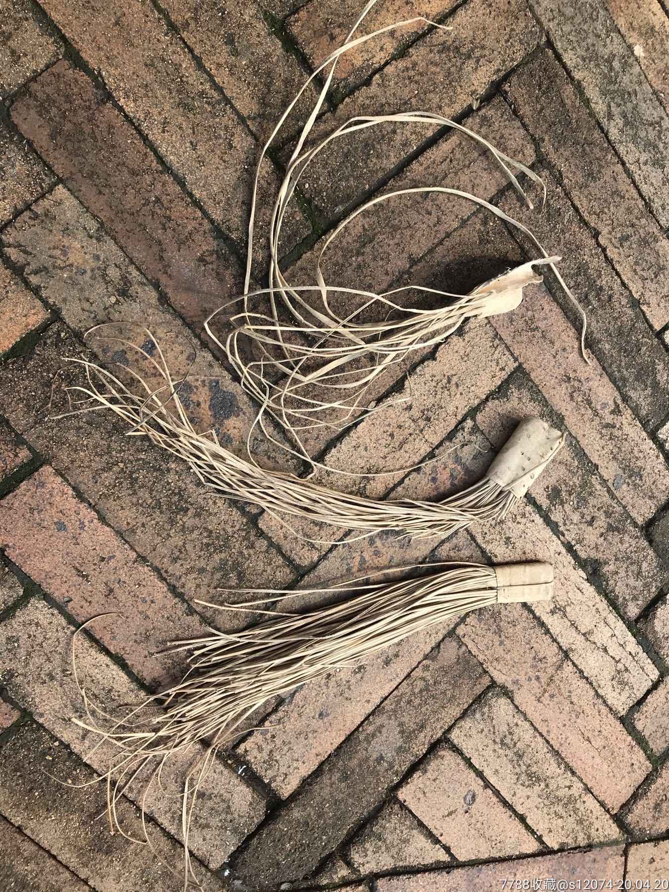 老鞭梢马鞭鞭梢几捆