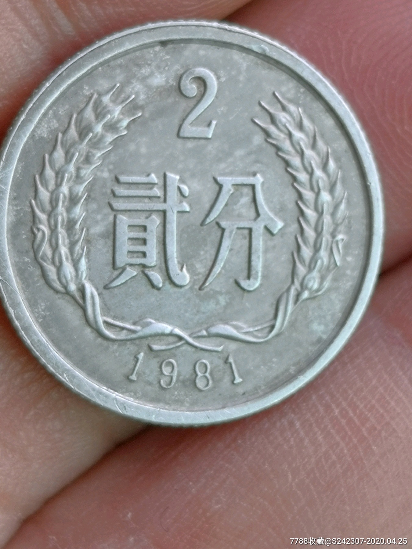 1981年二分