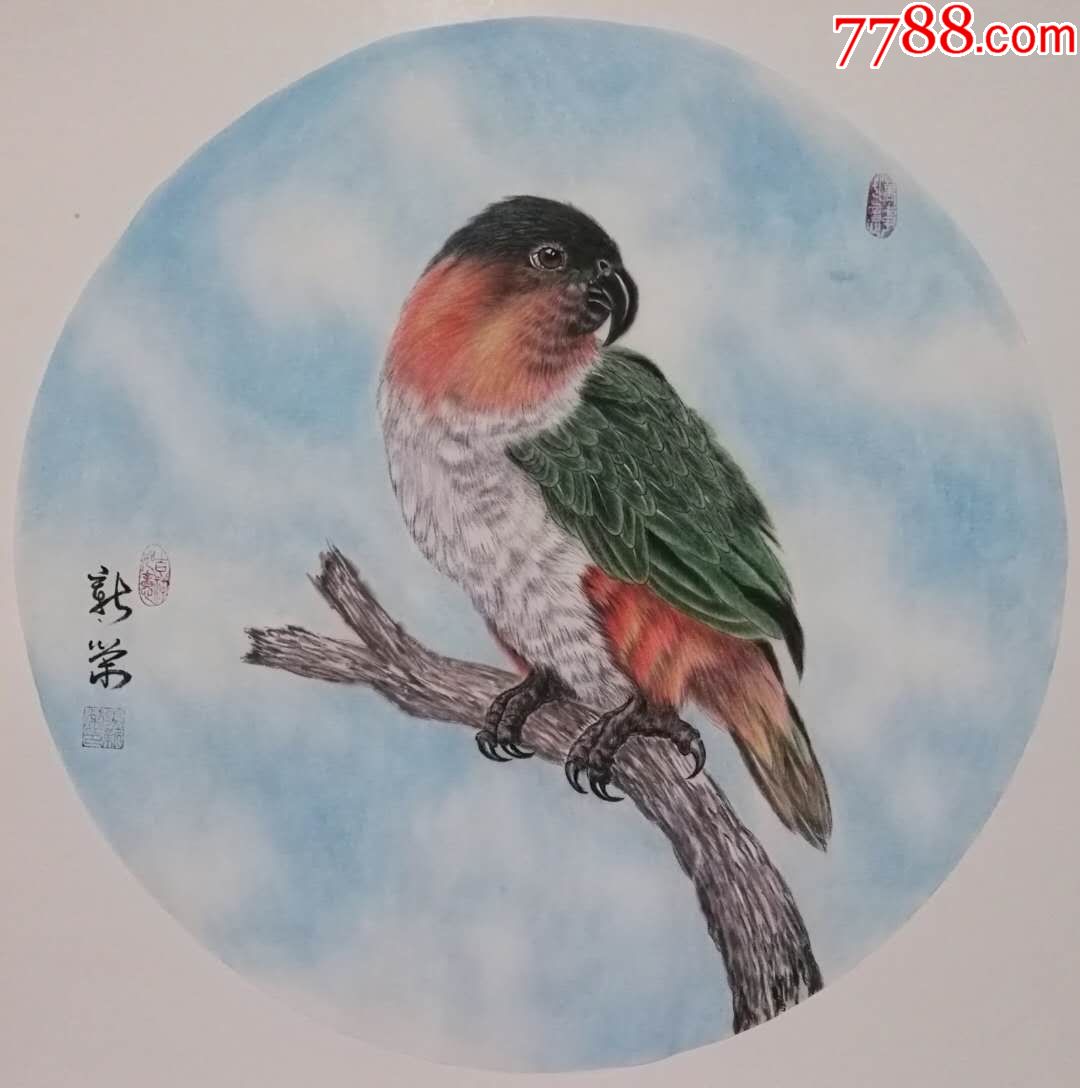 天来堂◆天然真淳马新荣◆三尺斗方鹦鹉_花鸟国画原作_天来堂中国山水