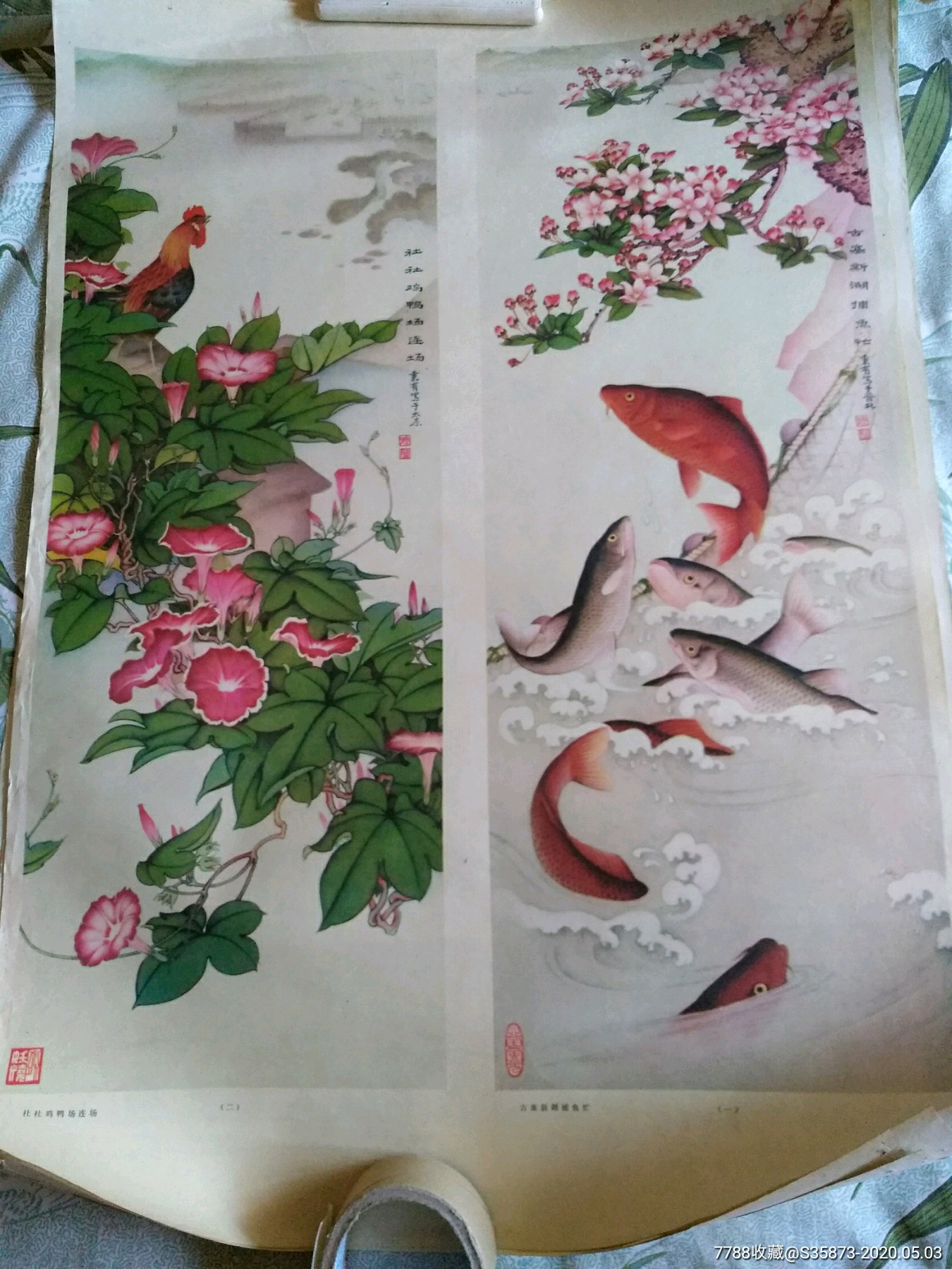 杂画一张