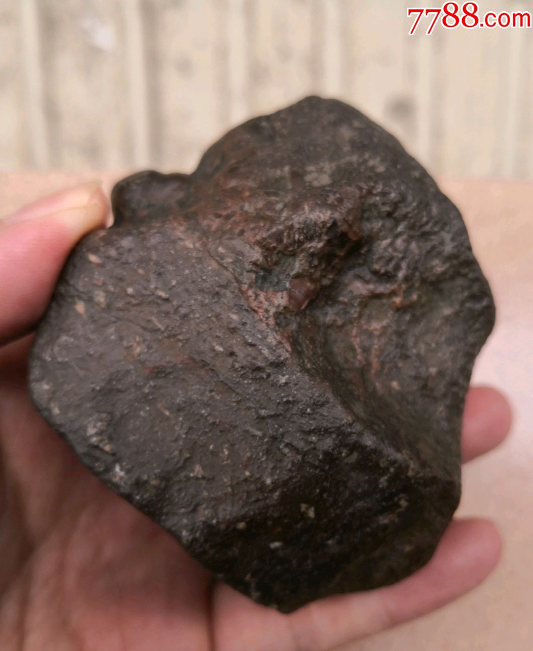 中铁陨石珍贵吗十天,最稀有的陨石排名,最稀缺的铁陨石_大山谷图库