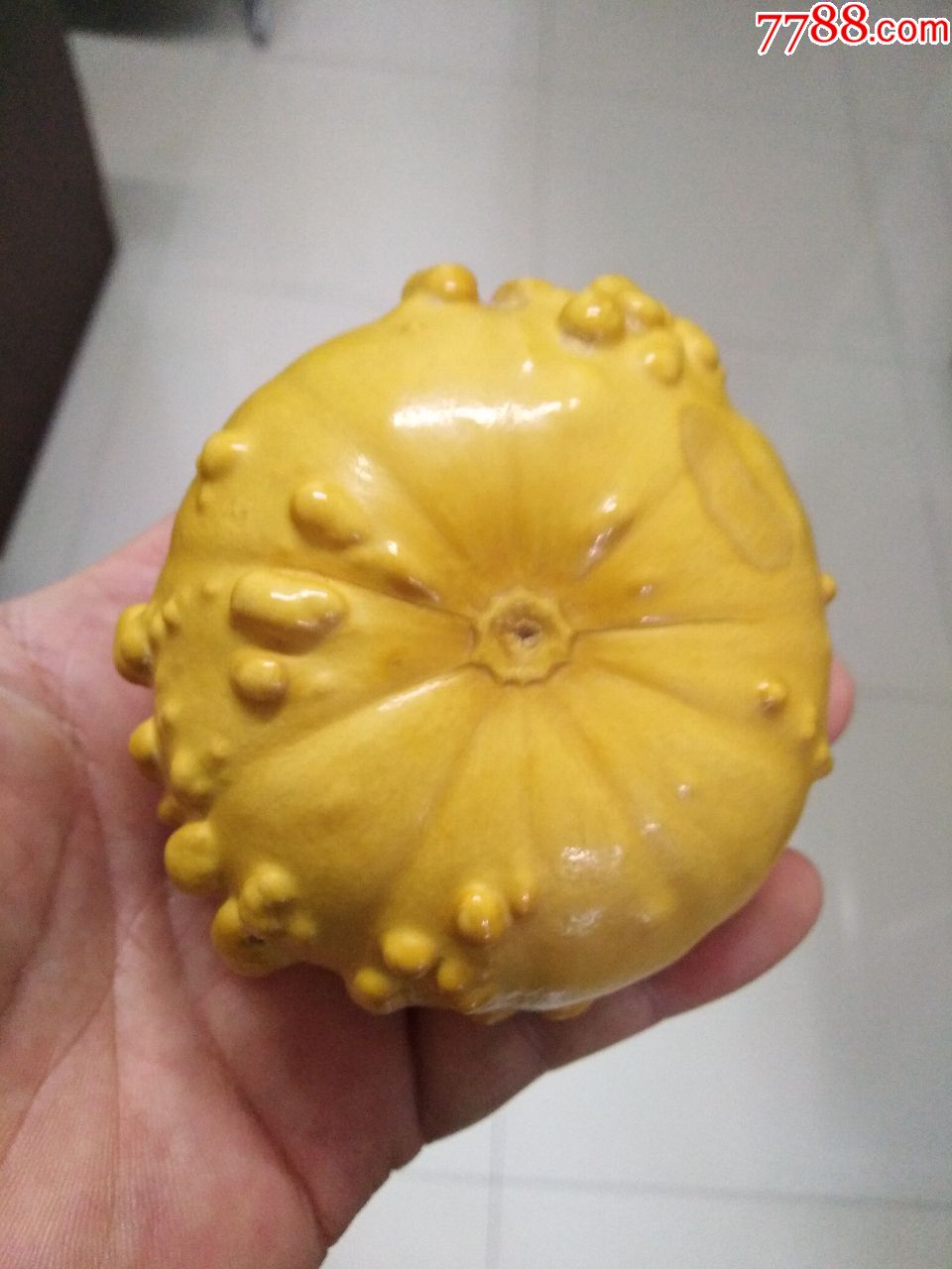 外国品种中型疙瘩葫芦