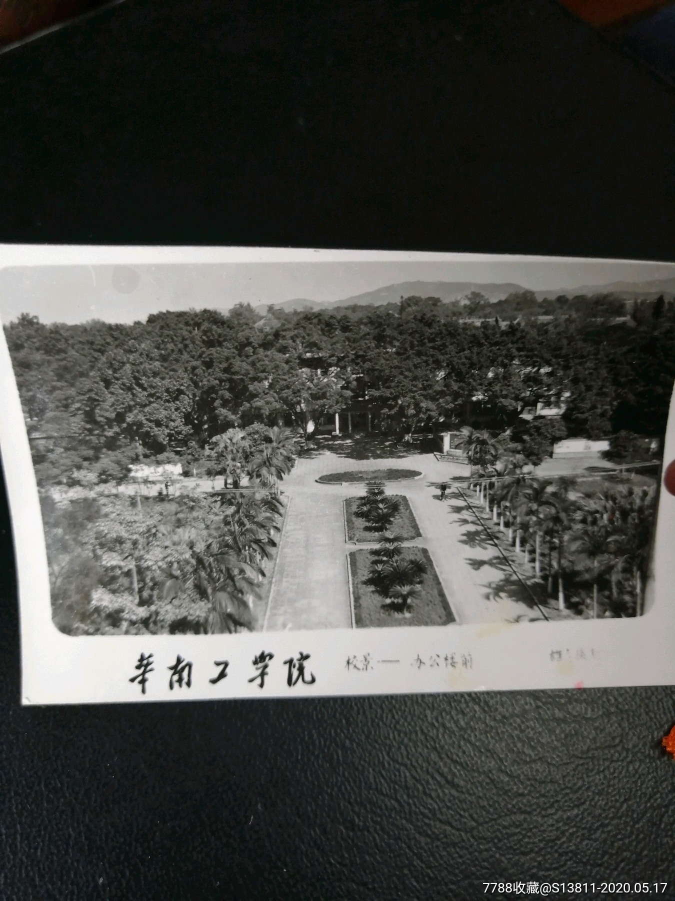 华南工学院4张-老照片-7788陶瓷