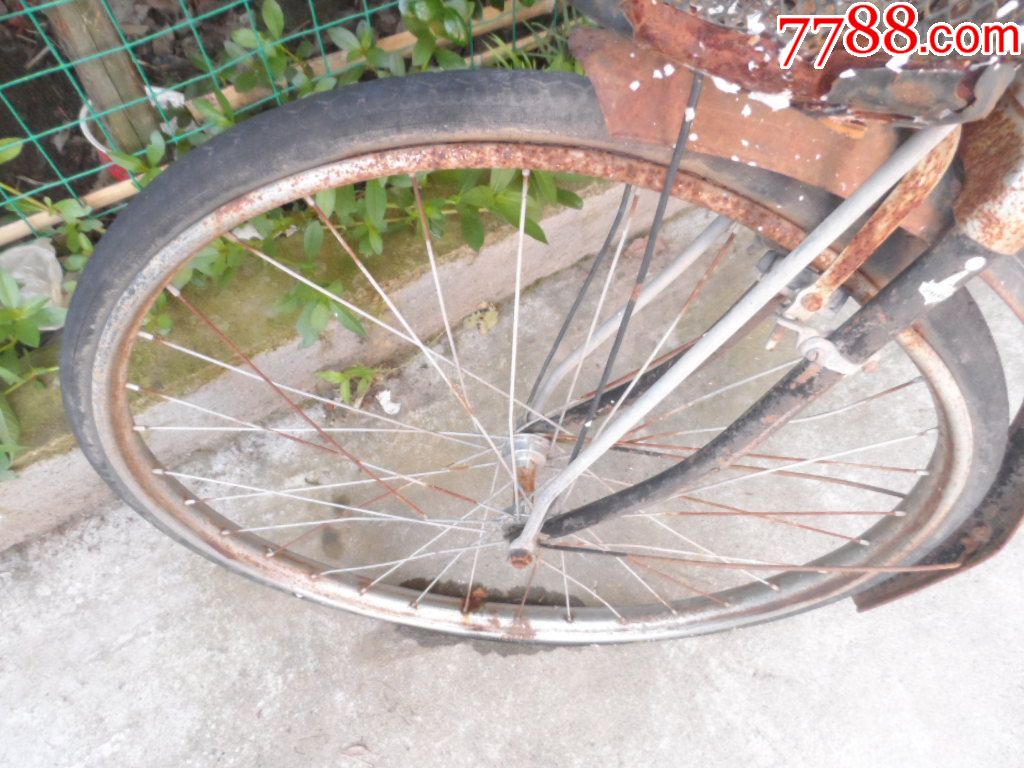 杭州海狮牌自行车