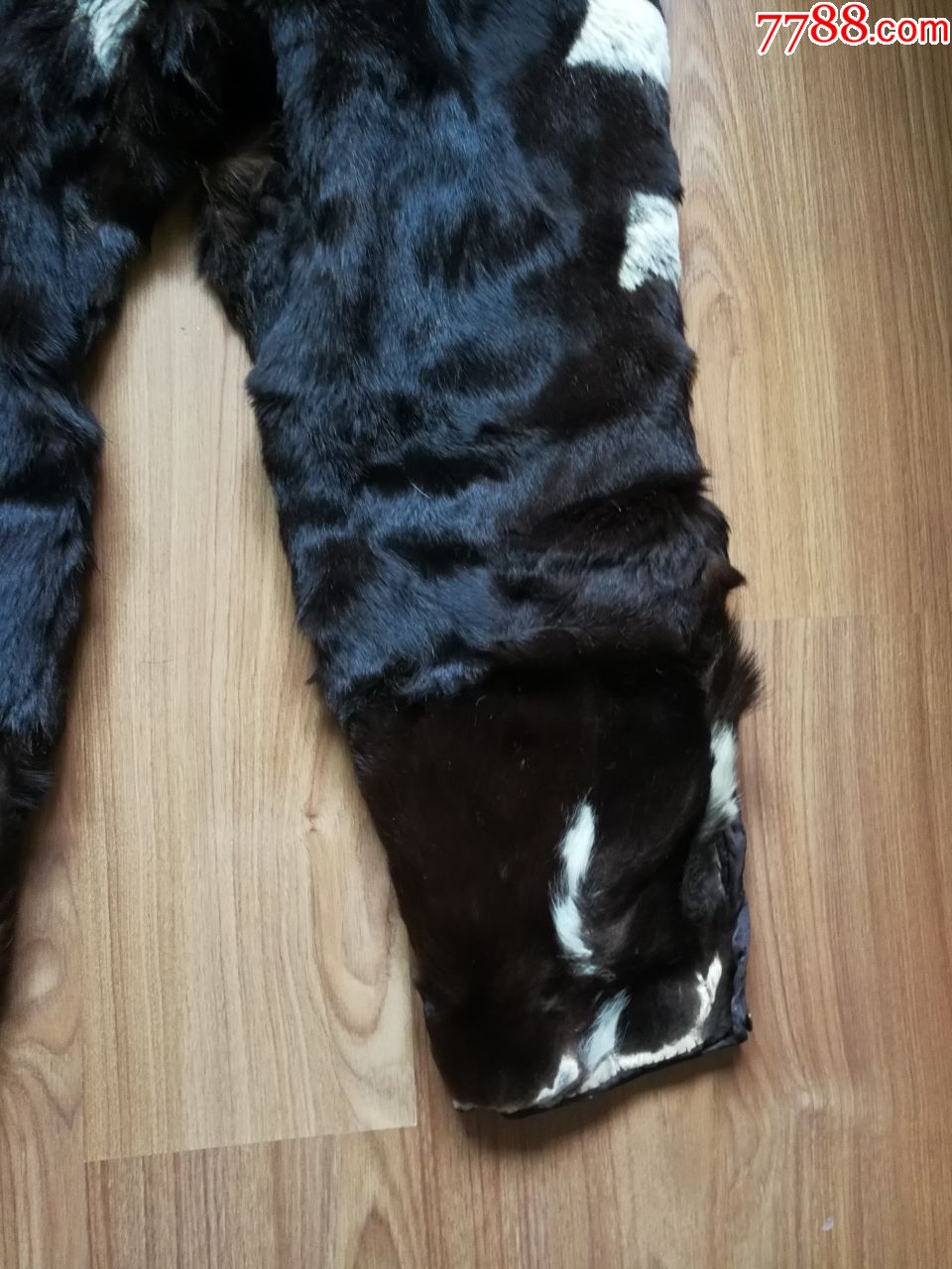 老式小狗皮裤子