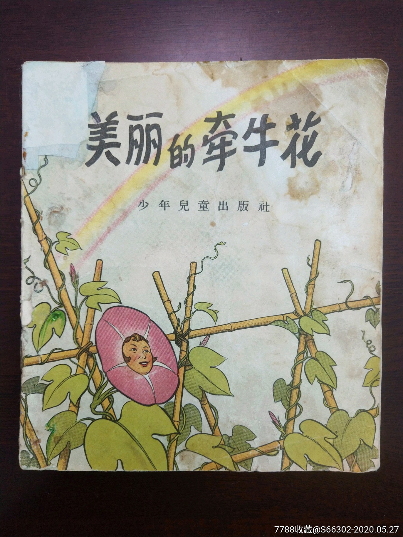 美丽的牵牛花(50年代彩色)