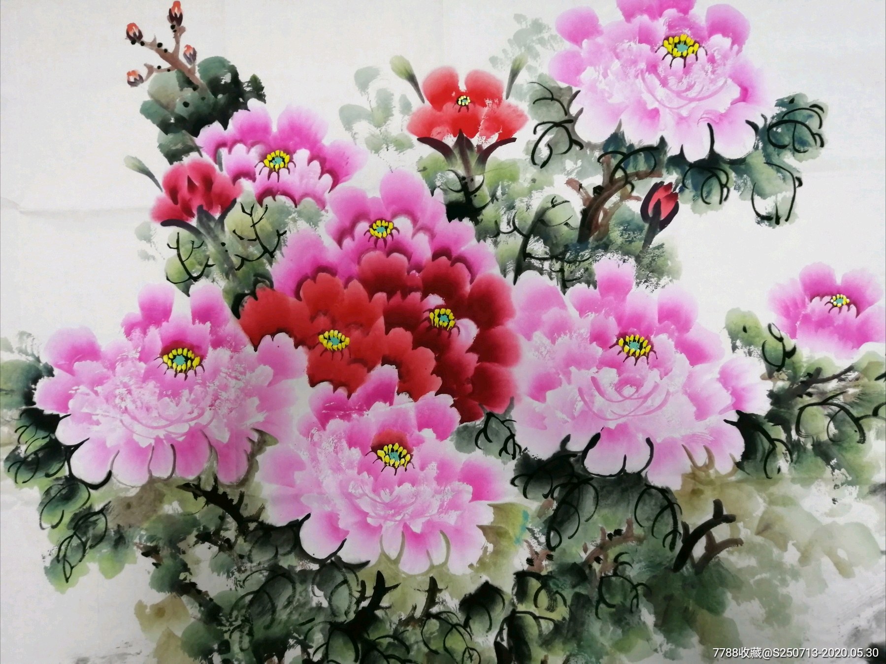 六尺红牡丹_花鸟国画原作_甘肃博渊书画院【7788书画网】