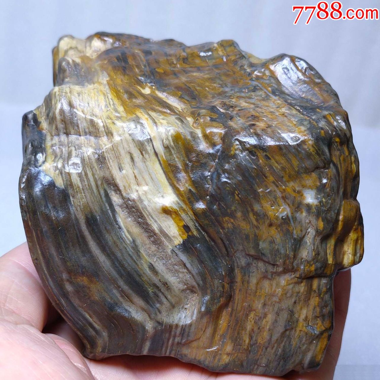 3926新疆戈壁硅化木摆件643克_价格70元_第3张