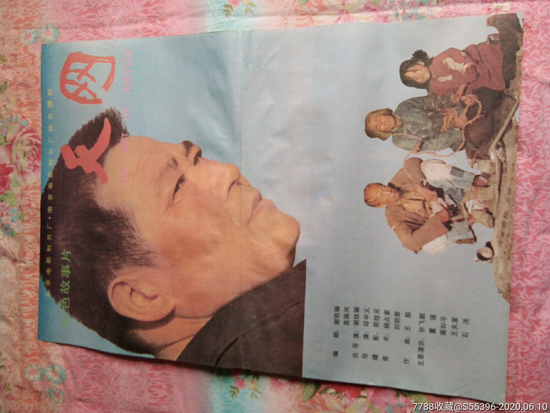 天网电影海报全新