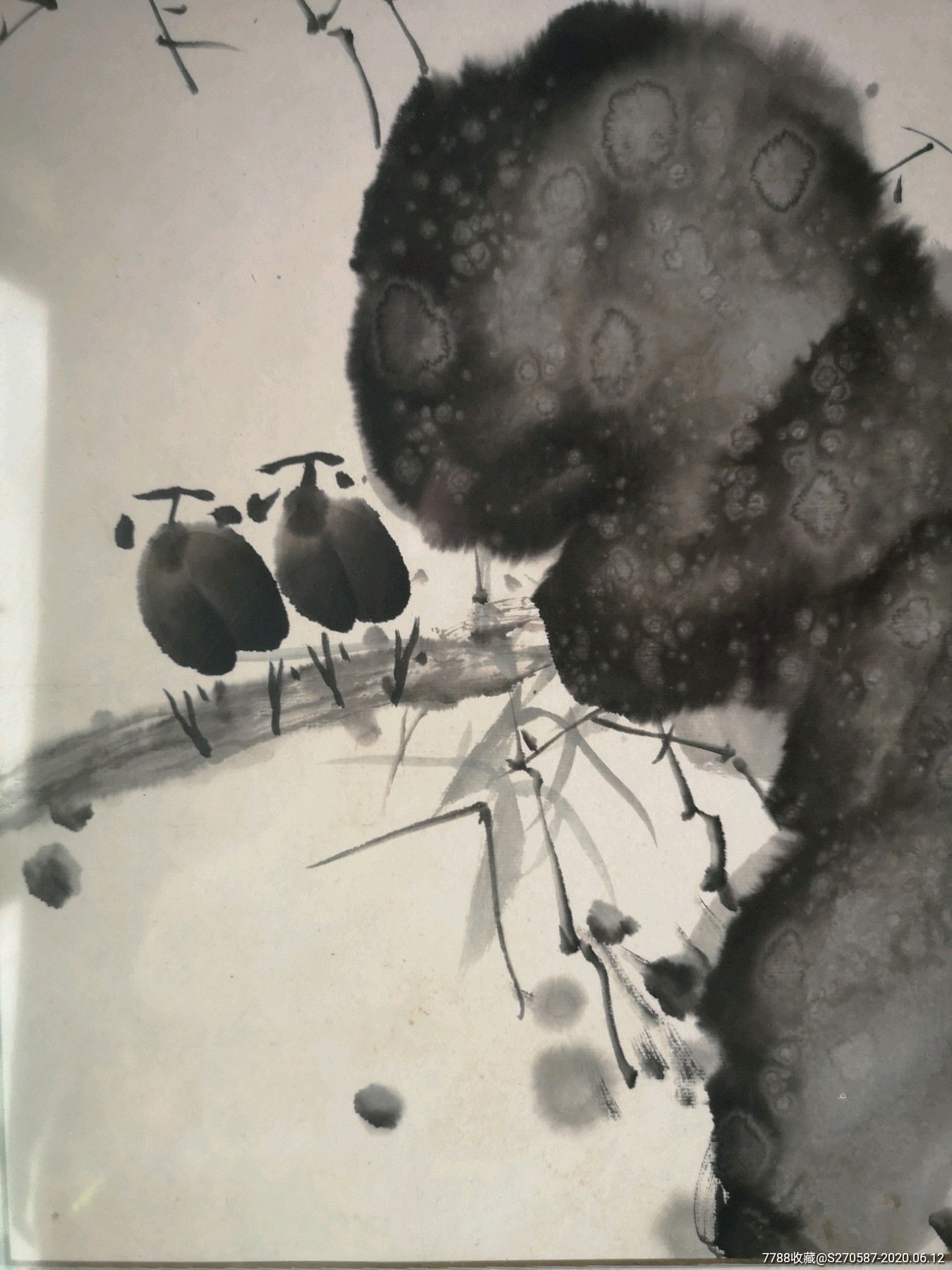 韦雪峰花鸟画,画芯尺寸70x70cm,本地送框,外地发画芯.