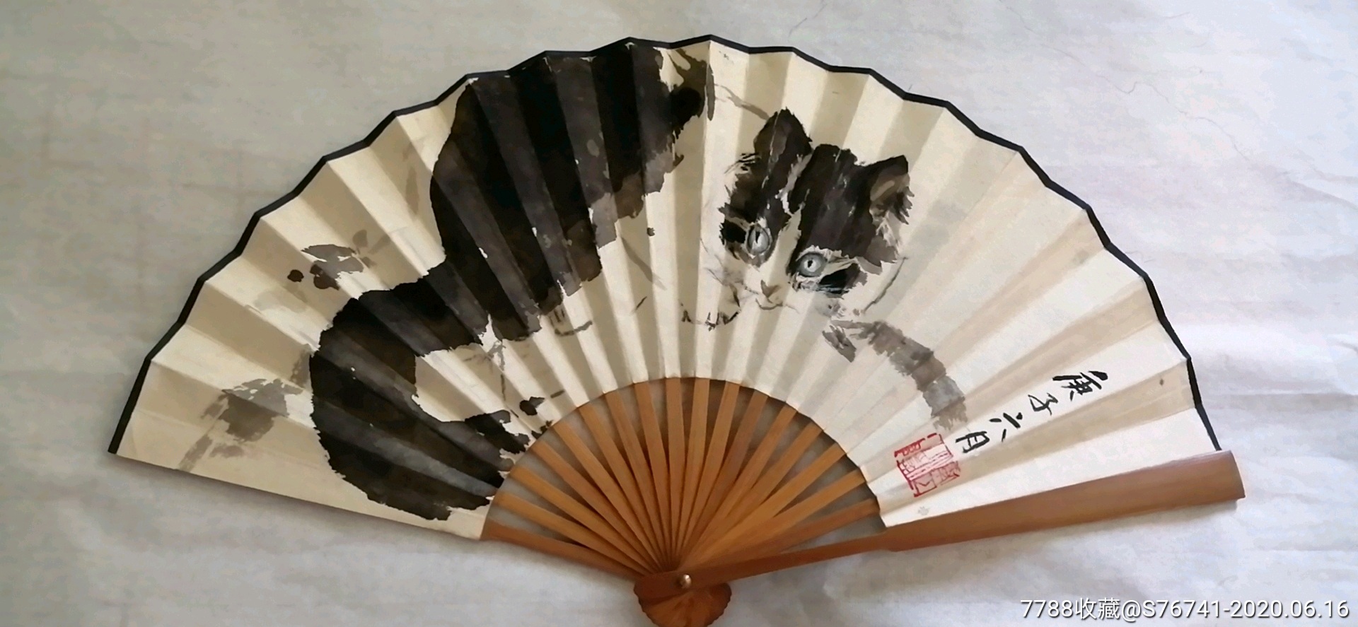 国画猫咪折扇一把