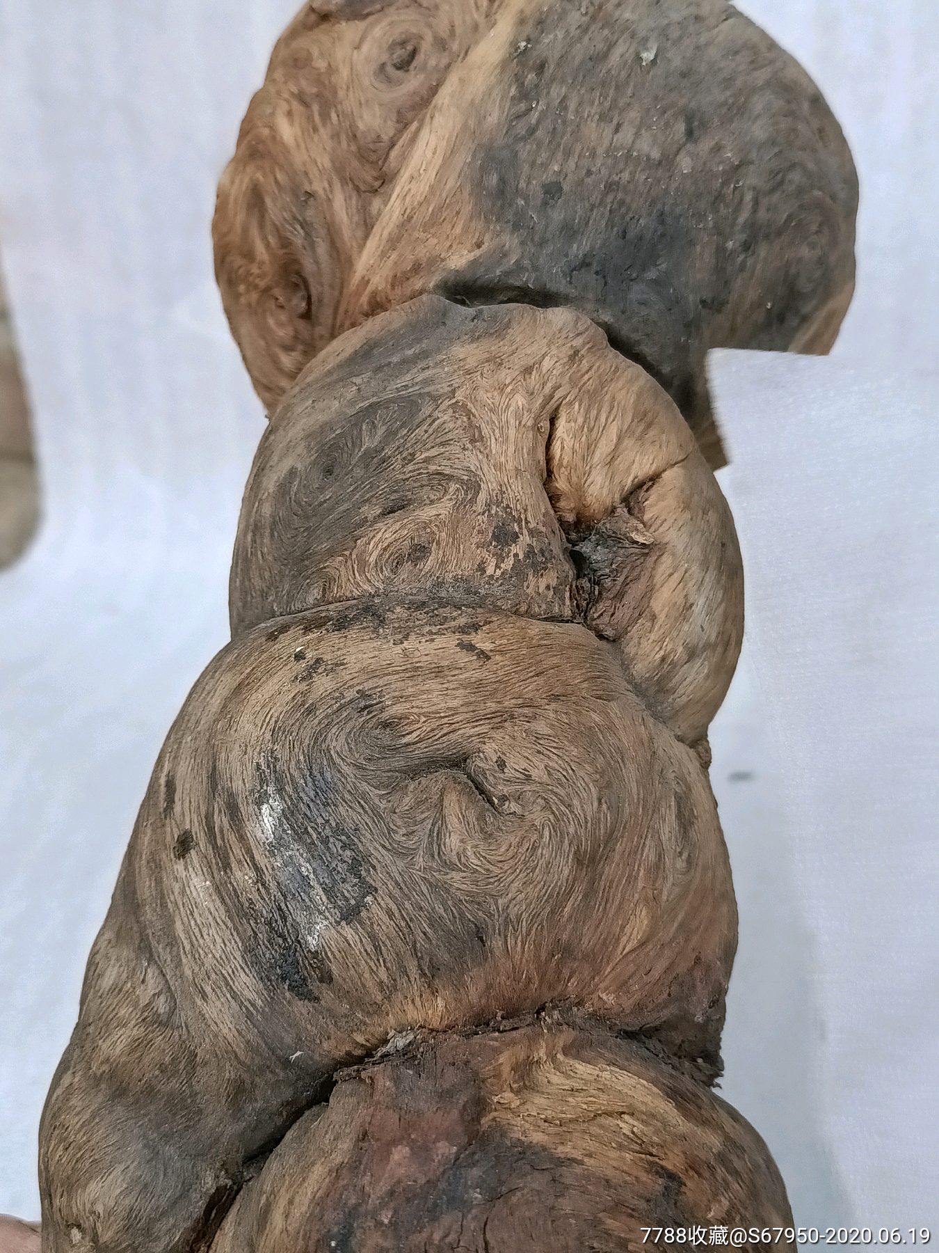 奇型,木瘤树根,像外星人.如果打磨出来应该很漂亮.