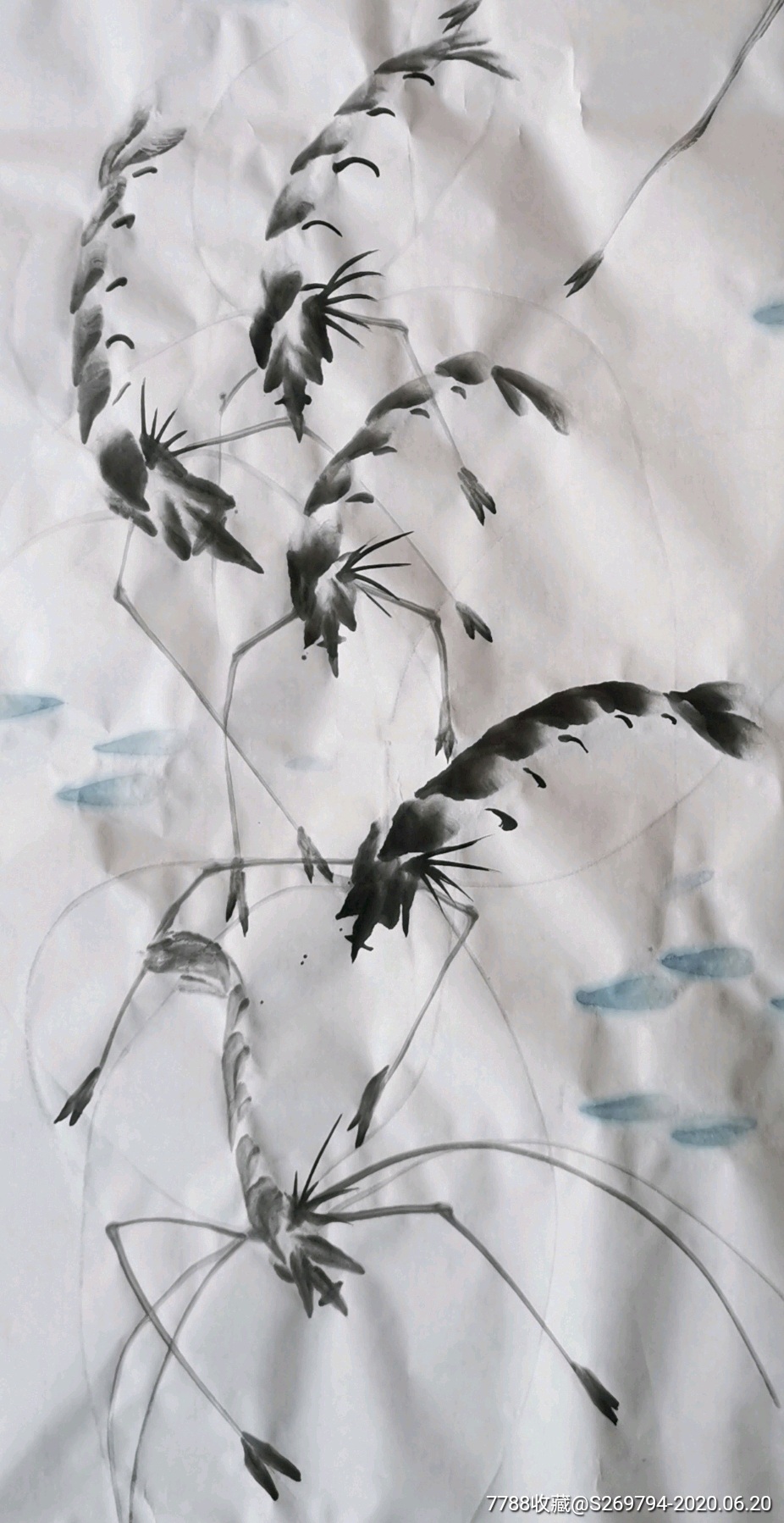 虾-价格:20元-au23439641-花鸟国画原作 -加价-7788收藏__收藏热线