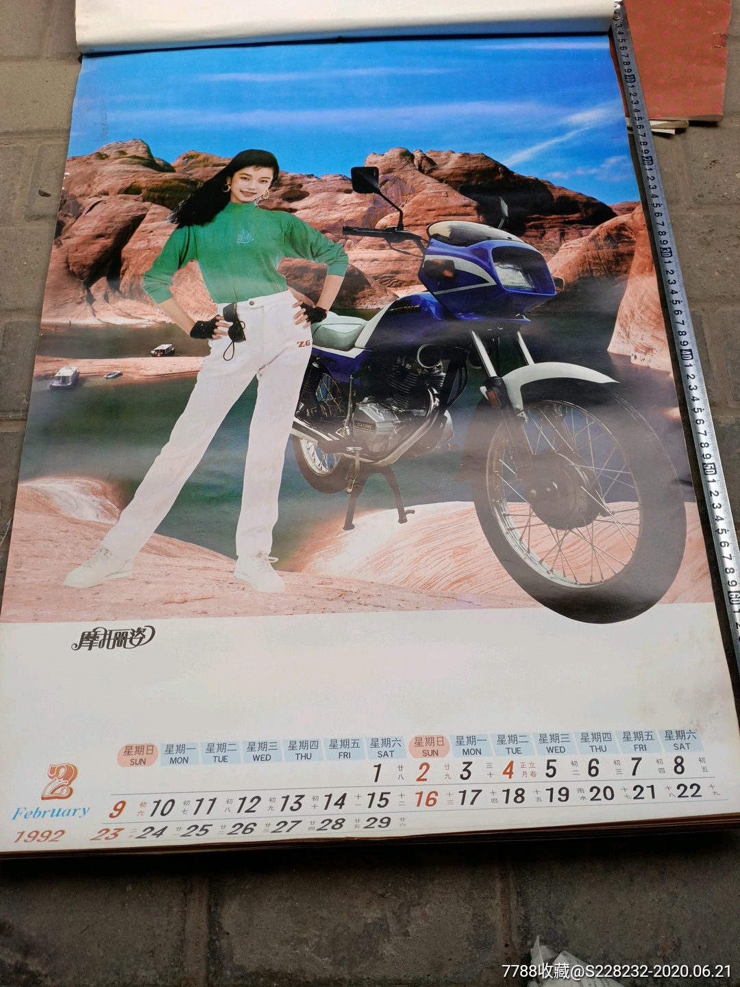 摩托丽姿美女挂历