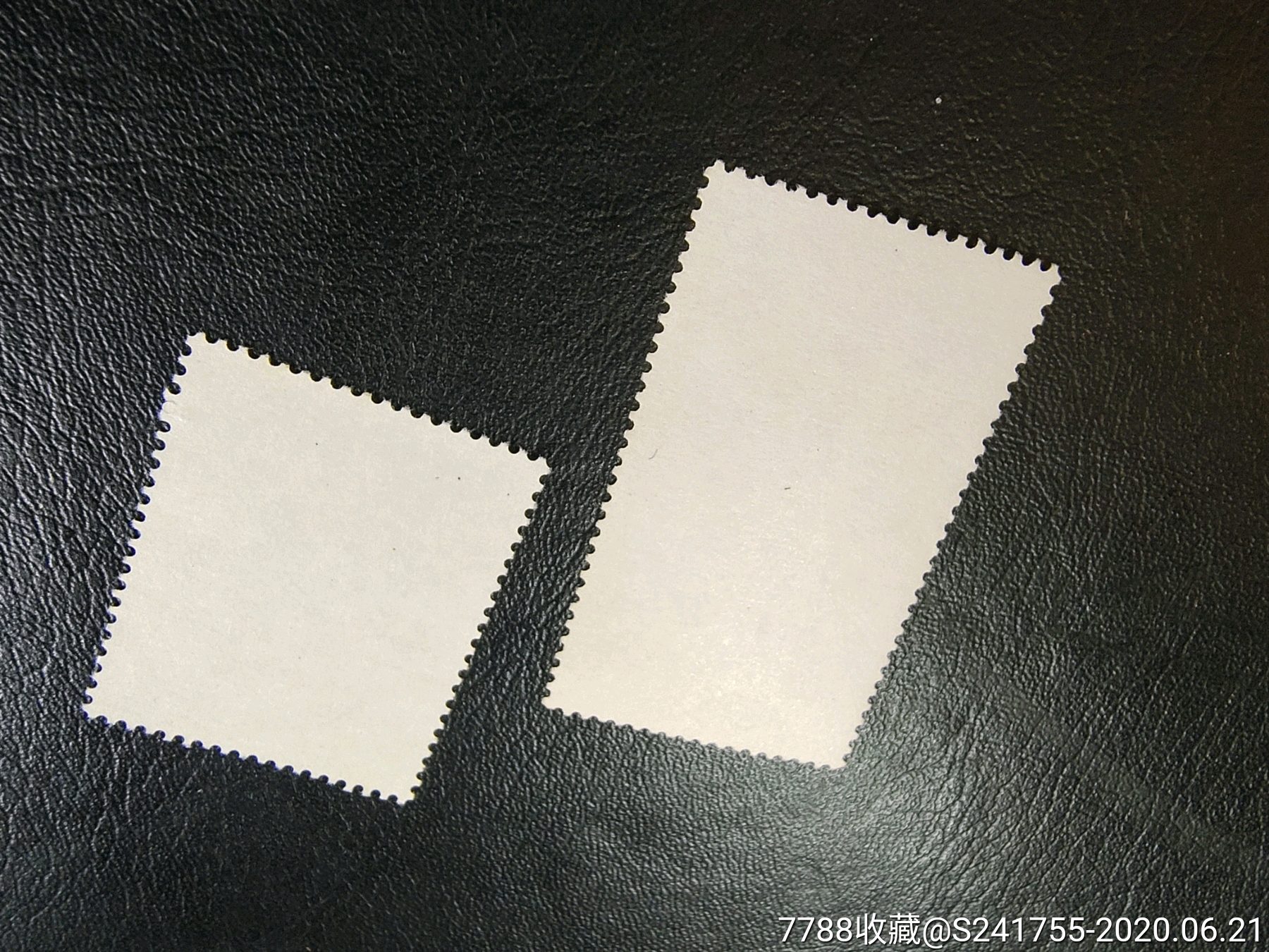 j10游泳,新中国邮票_第6张