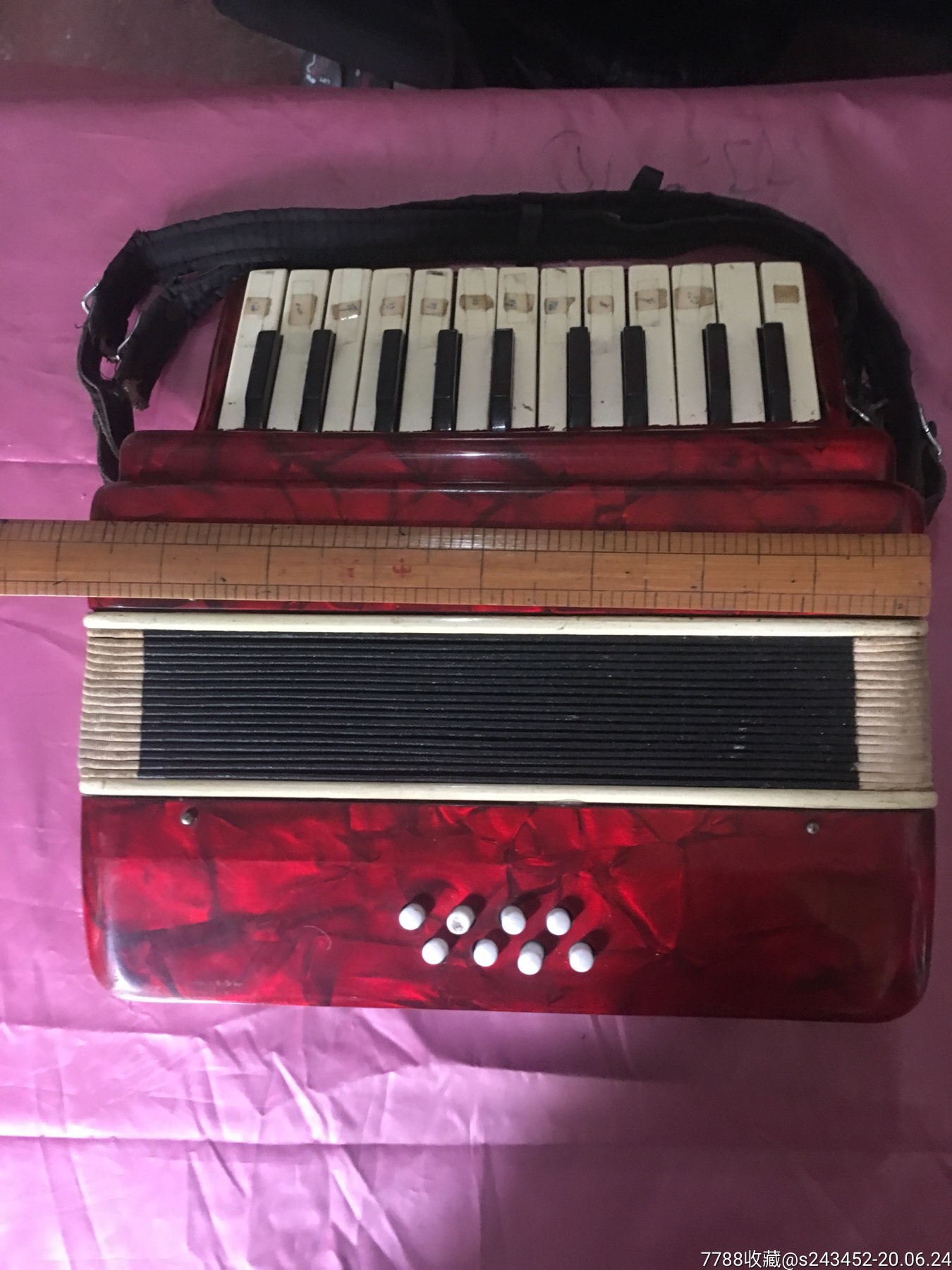 小手风琴