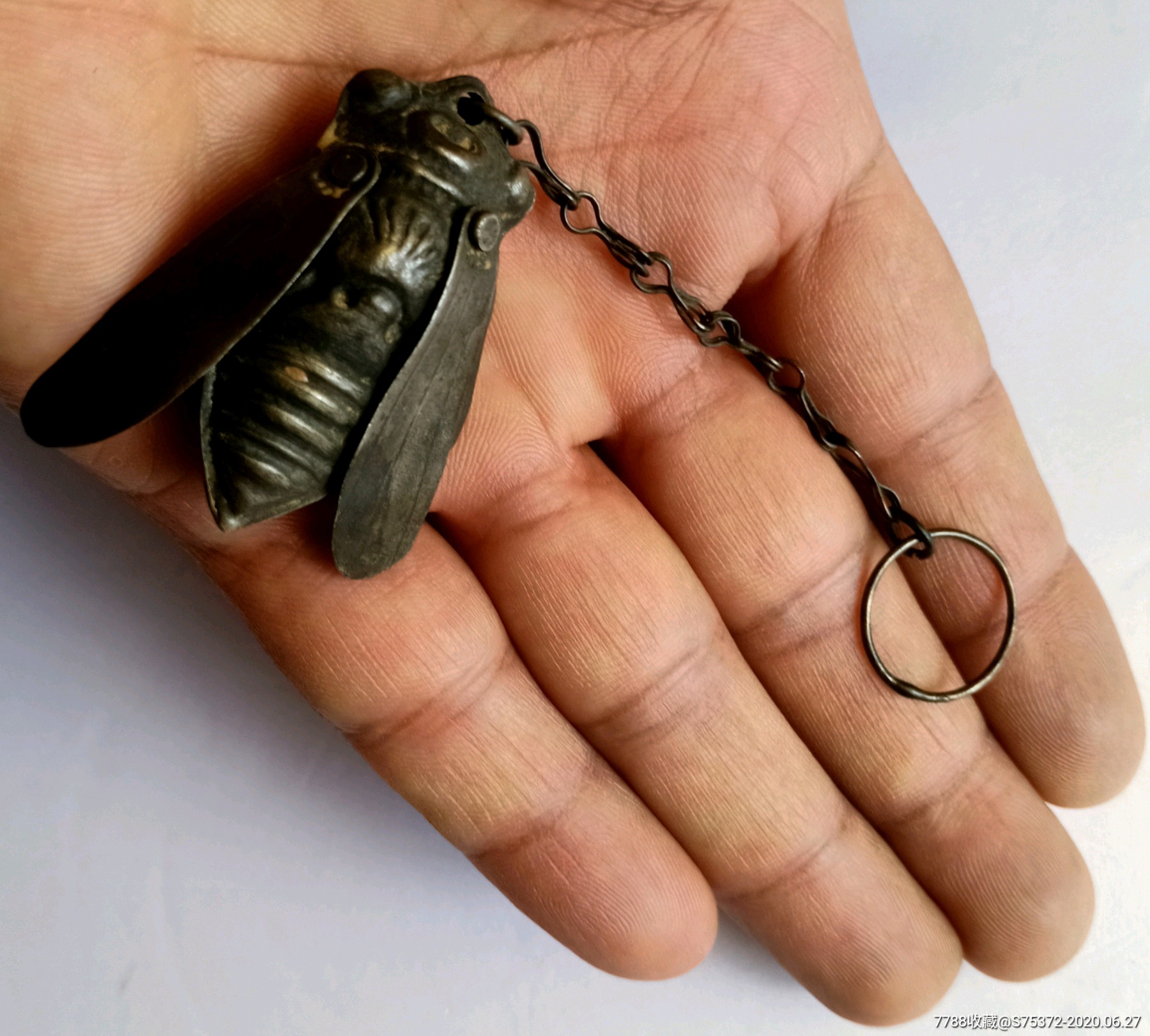 老包浆银知了一鸣惊人