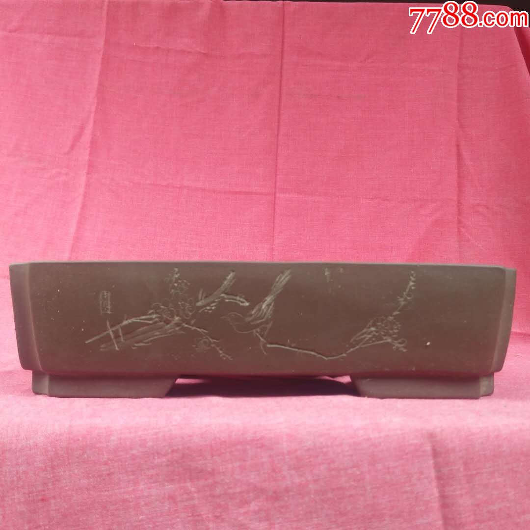 红梅鲜艳紫砂花盆